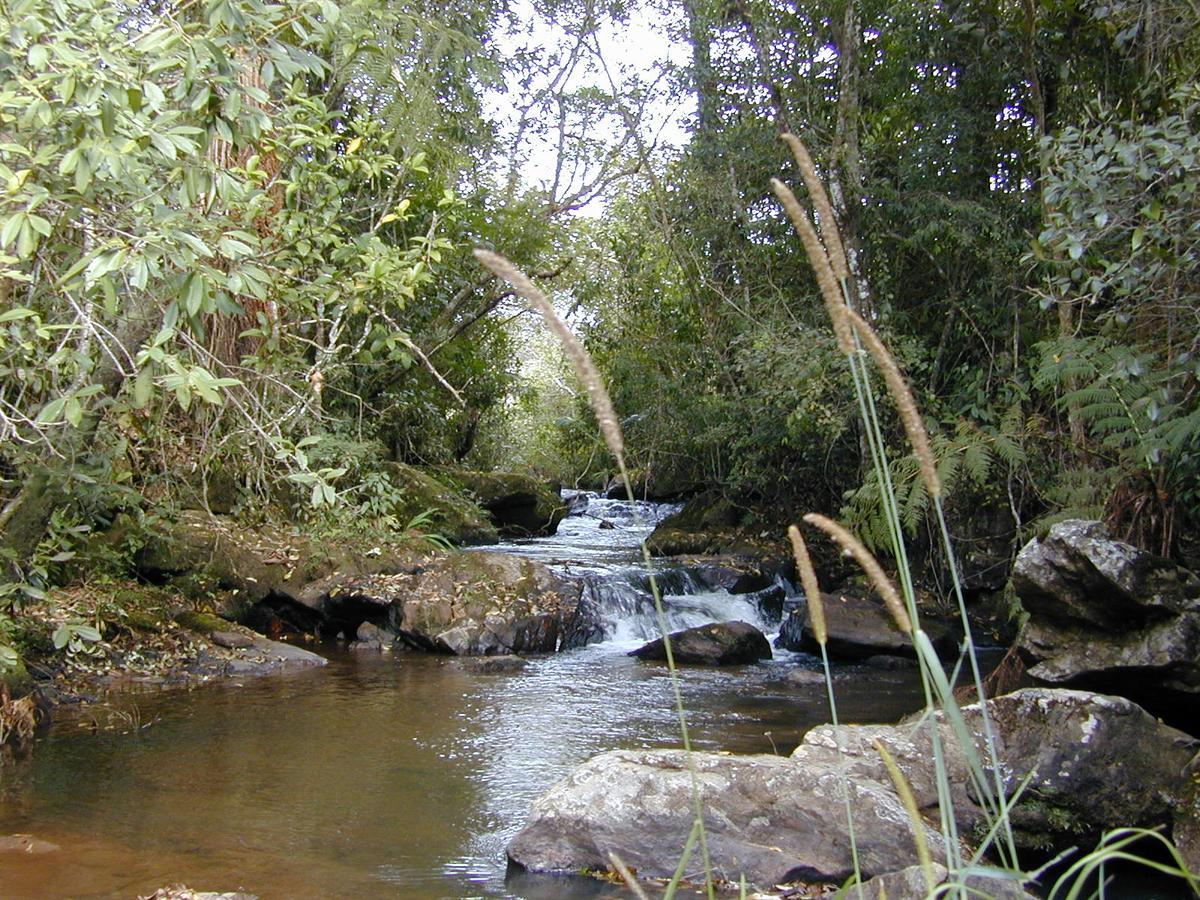 Casa de Campo Rústica em Fazenda Usina Bocaina de Minas Exterior foto